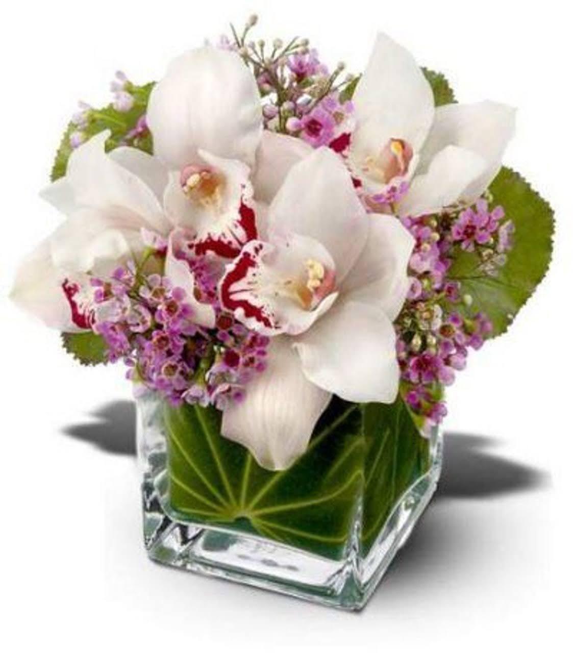 Orchid Special bouquet